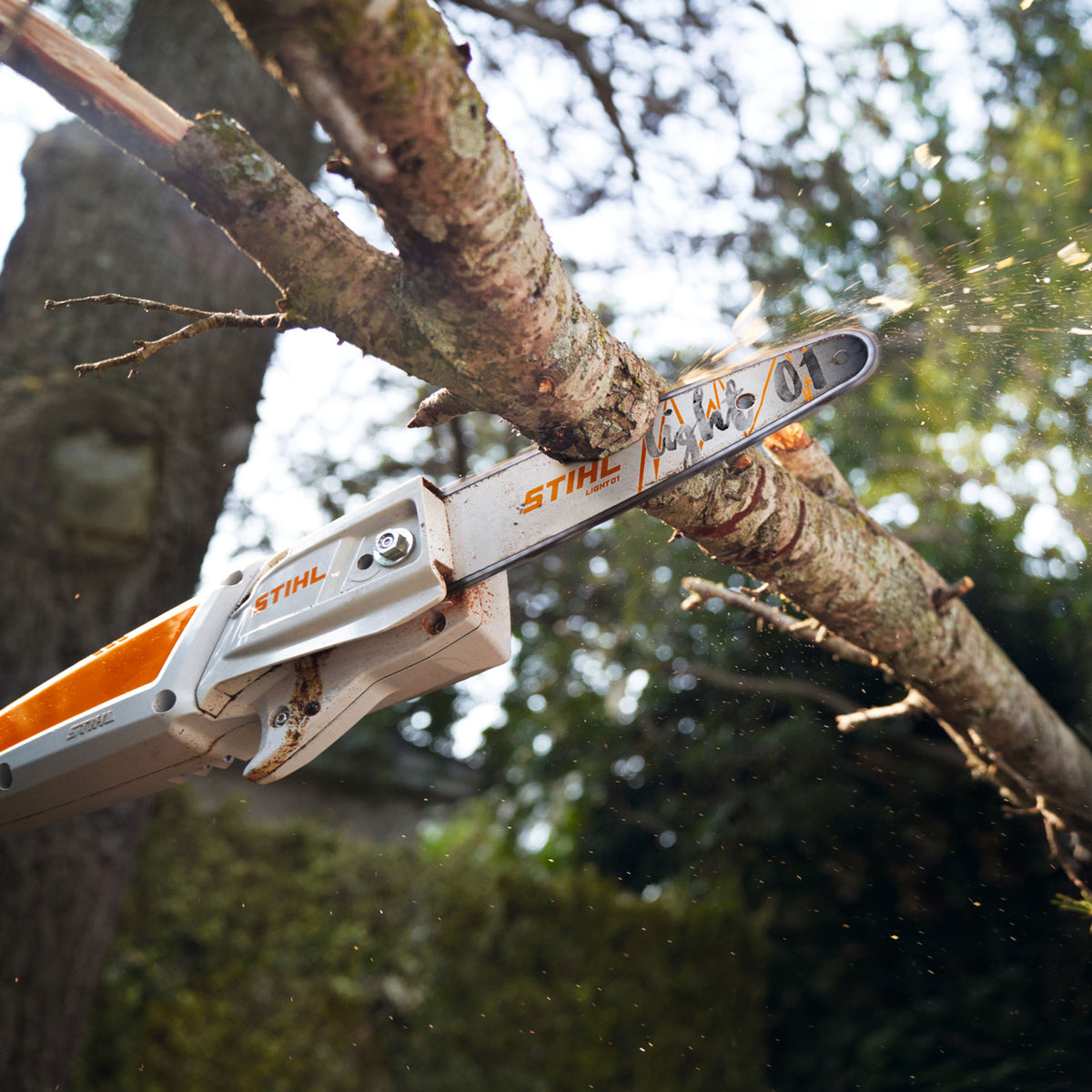 Tree pruner deals chainsaw