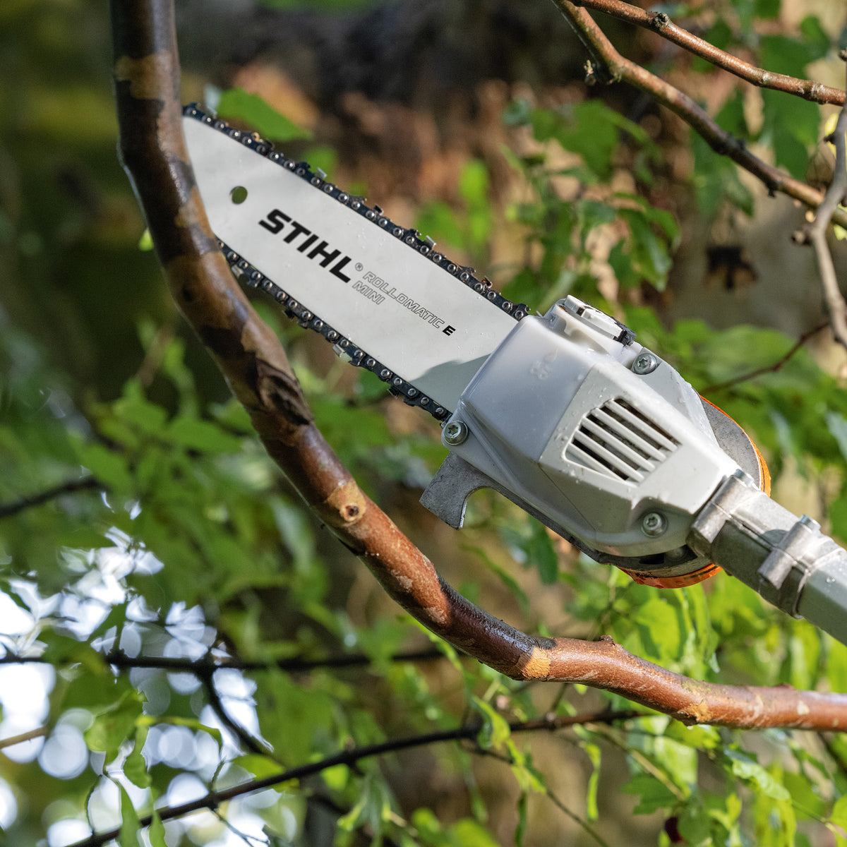 HTA 66 Cordless Pole Pruner STIHL