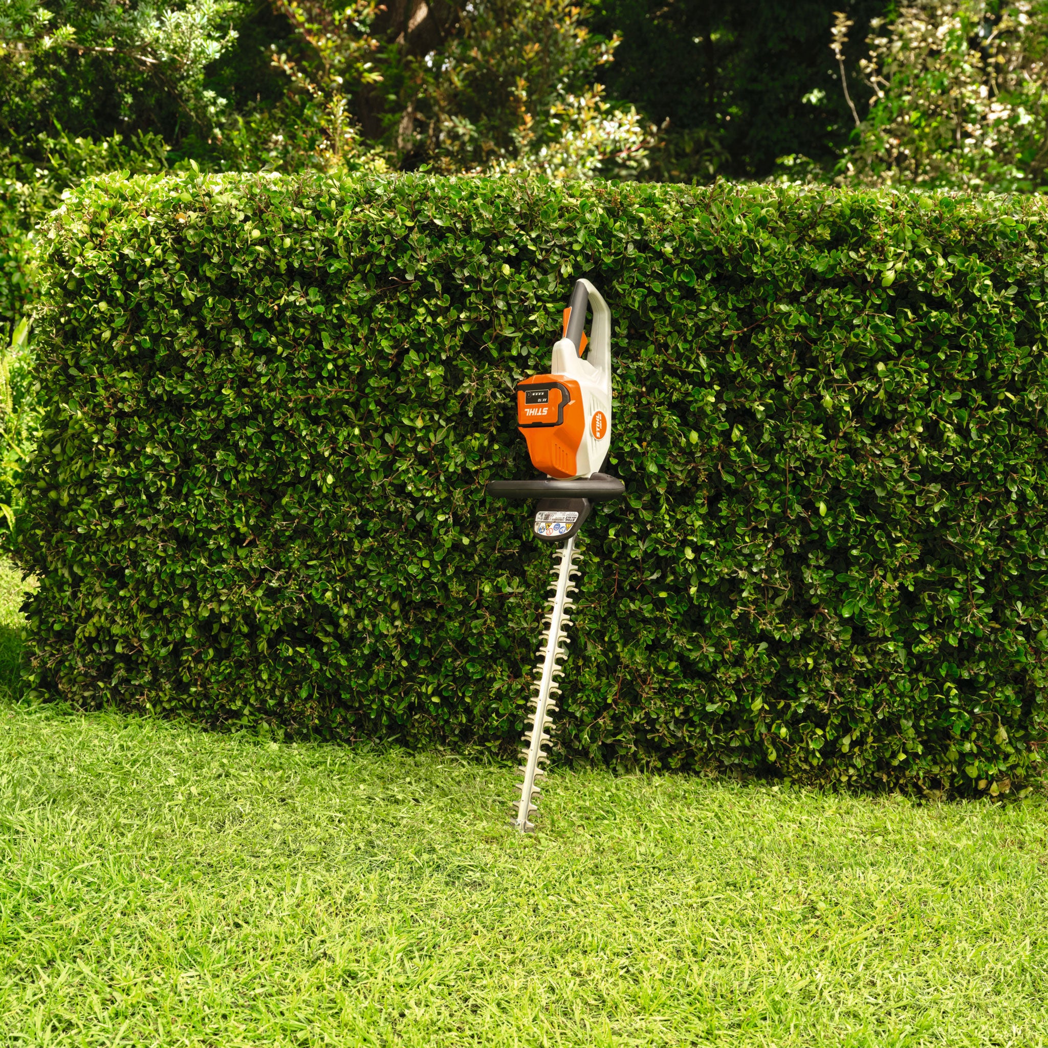 HSA 50 Battery Hedge Trimmer – STIHL