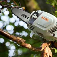 Load image into Gallery viewer, HTA 86 Cordless Pole Pruner