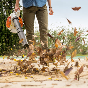 BG 56 Petrol Leaf Blower